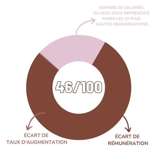 Index de l'égalité professionnelle 2026