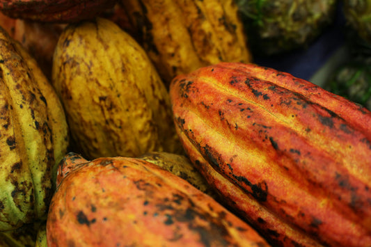 Du chocolat bio, sûr et engagé