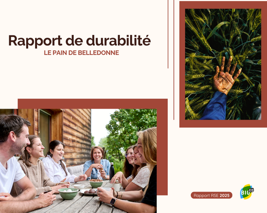 Rapport RSE 2025