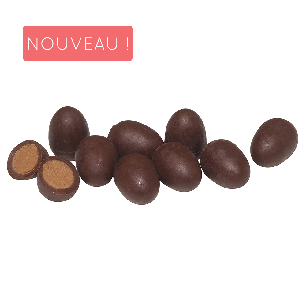 Œuf de Pâques chocolat Noir praliné 🦖